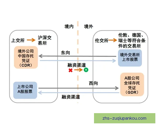 托基联与多克林激活免疫通路作用机制及临床应用研究探索